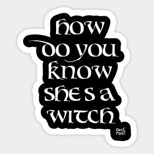 HOW DO YOU KNOW SHES A WITCH Sticker